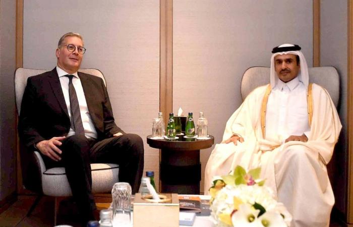 وزير الدولة لشؤون الطاقة يجتمع مع وزير البترول والثروة المعدنية المصري