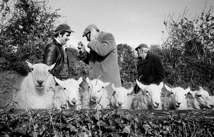 Remembering
      Martin
      Parr:
      Britain's
      'national
      photographer'
      in
      words
      and
      pictures
      by
      his
      publisher