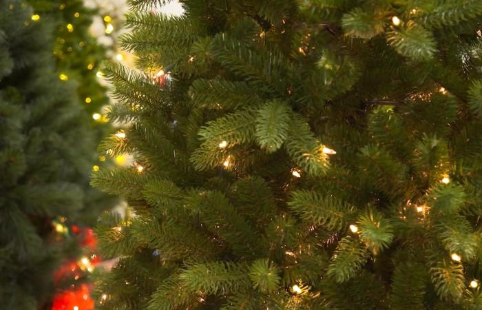 موسم الأعياد وحساسية الأنف والعينين: الأسباب وراء تفاقم الأعراض