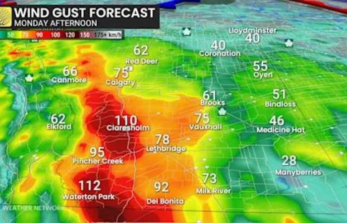 Temperatures
      jump
      in
      Alberta
      with
      wild
      wind
      gusts
      that
      could
      top
      100
      km/h