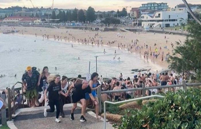 الأستراليون
      يمجدون
      بطولته...
      «أحمد»
      يشتبك
      مع
      أحد
      المهاجمين
      وينتزع
      سلاحه