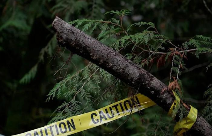 ‘It’s
      really
      sad’:
      B.C.
      community
      still
      reeling
      1
      year
      after
      fatal
      landslide
      in
      Lions
      Bay