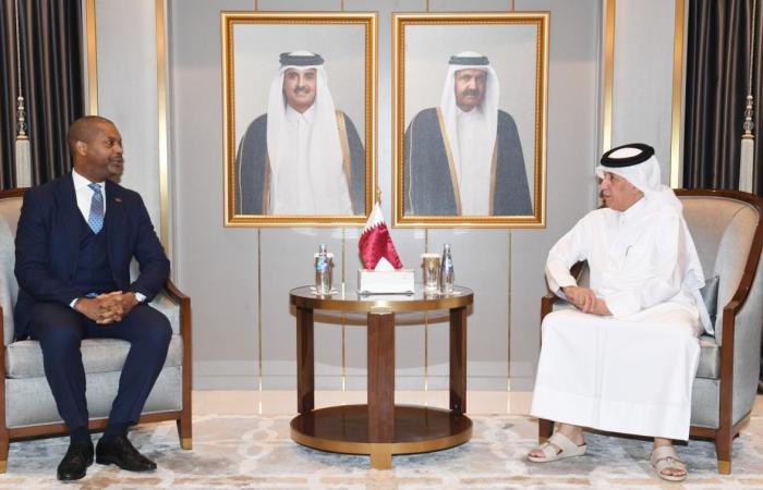  وزير الدولة للشؤون الخارجية يودع سفير هايتي