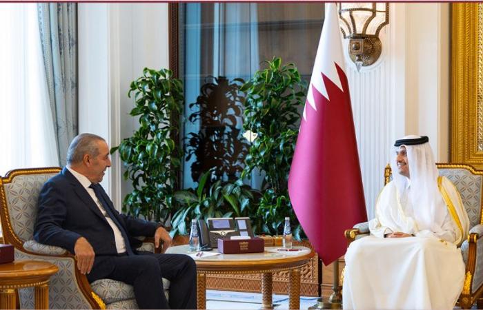 رئيس مجلس الوزراء وزير الخارجية يستقبل نائب رئيس دولة فلسطين