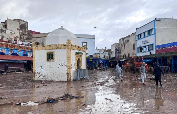 العثور
      على
      جثامين
      12
      مهاجراً
      قرب
      الحدود
      المغربية
      الجزائرية