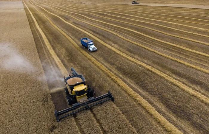 Alberta
      lays
      out
      new
      wetlands
      rules
      after
      months
      of
      ‘divisive’
      consultation