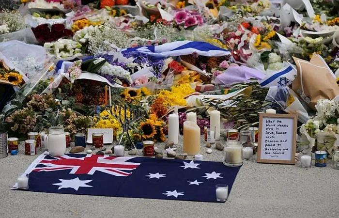 Dashcam
      footage
      shows
      couple
      trying
      to
      stop
      Bondi
      Beach
      gunman
      before
      being
      killed
