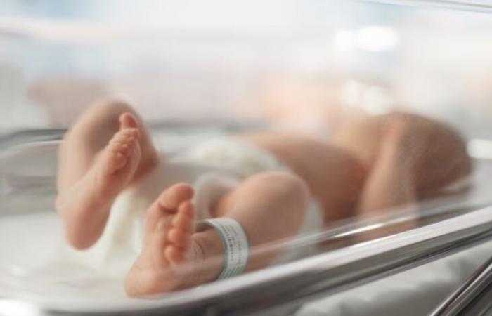 هذه
      أكثر
      أسماء
      المواليد
      شيوعا
      في
      أونتاريو