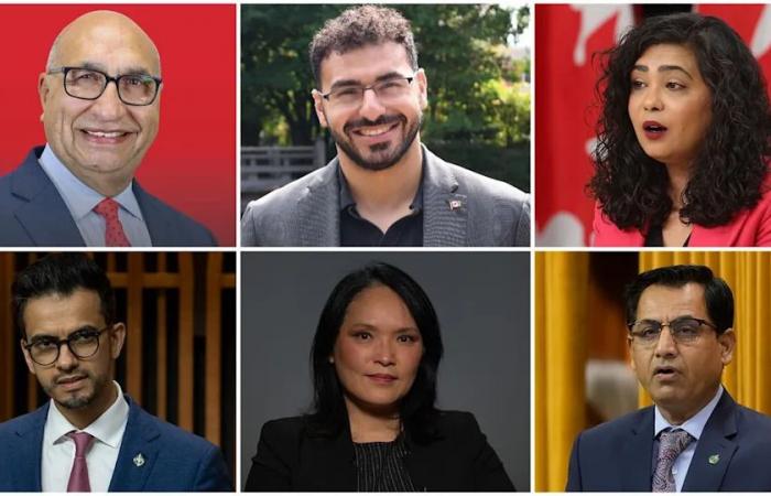 Canadian
      delegation
      of
      MPs
      denied
      entry
      into
      West
      Bank