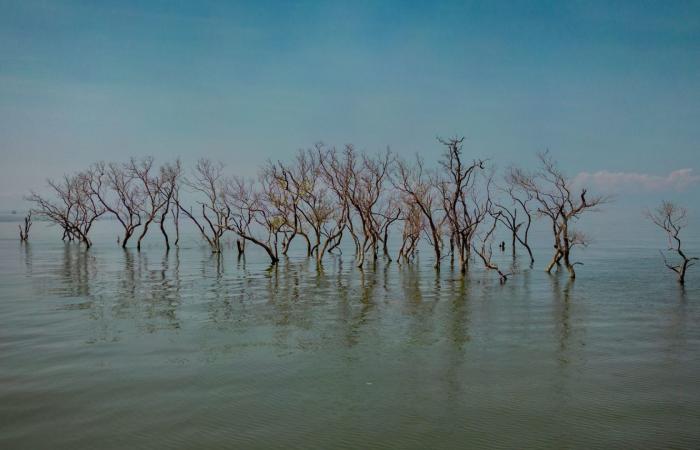 بيانات جديدة تثير تساؤلات حول مدى ارتفاع درجة حرارة كوكب الأرض