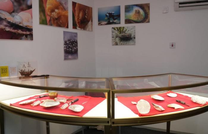  درب الساعي يحتضن المتاحف البحرية لتعزيز الثقافة بالموروث القطري