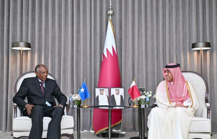 وزير العمل يجتمع مع وزير العمل والشؤون الاجتماعية الصومالي