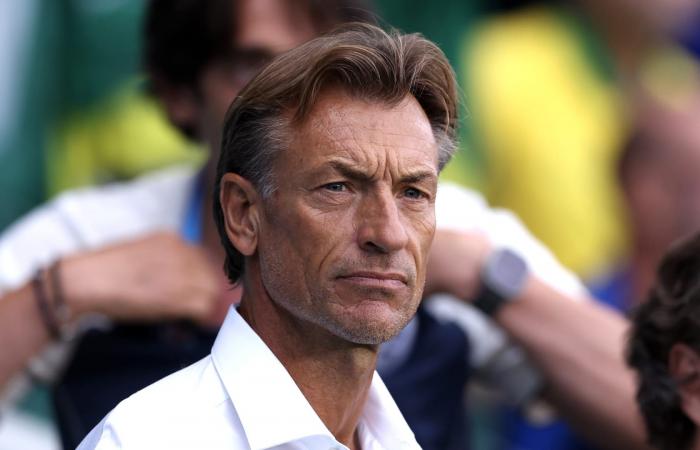 "سأذهب لمكان آخر".. رينارد يعلق على احتمالية إقالته من تدريب المنتخب السعودي