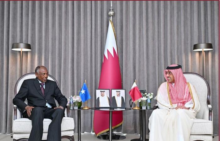 وزير العمل يجتمع مع وزير العمل والشؤون الاجتماعية الصومالي