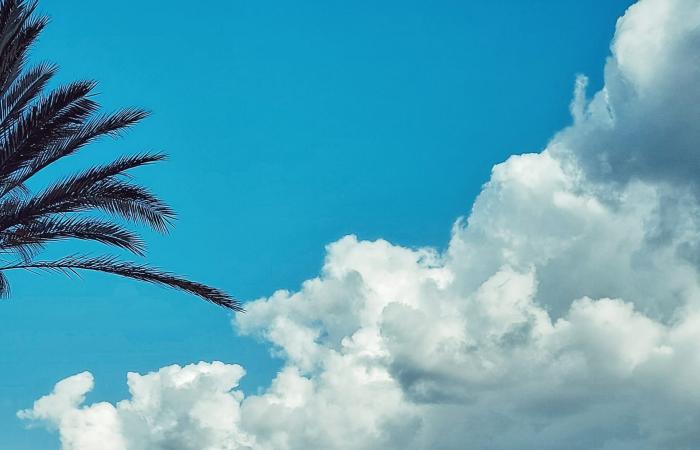 مشاهد درامية..مصري يبرز أجواء الشتاء الساحرة في الإسكندرية