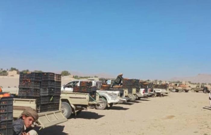 الخنبشي:
      الحل
      الأمثل
      في
      حضرموت
      عودة
      قوات
      «الانتقالي»
      إلى
      مواقعها