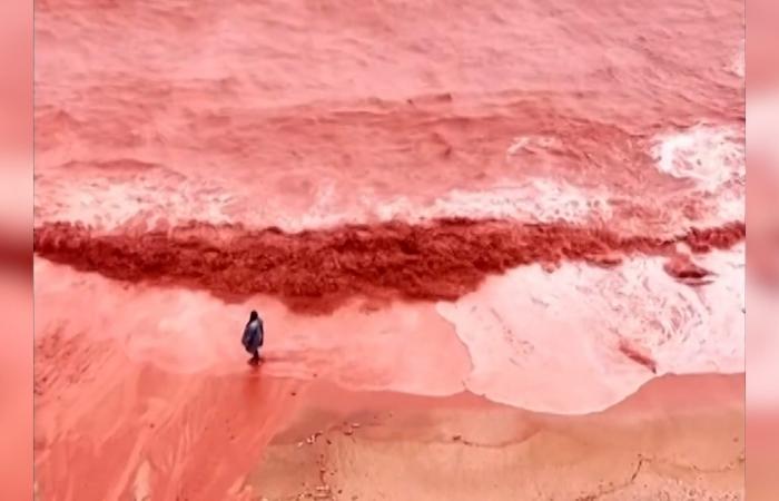 ساحل جزيرة هرمز الإيرانية يتحول إلى اللون القرمزي الداكن.. شاهد السبب