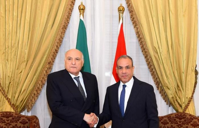 مصر والجزائر تبحثان تطورات الأوضاع الإقليمية وتعزيز العلاقات الثنائية