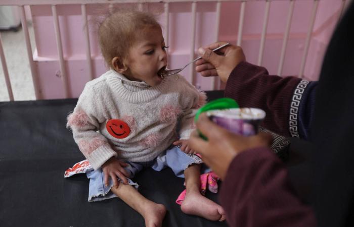 إسرائيل
      تحول
      الخط
      الأصفر
      إلى
      «مصيدة
      للموت»
      للغزيين