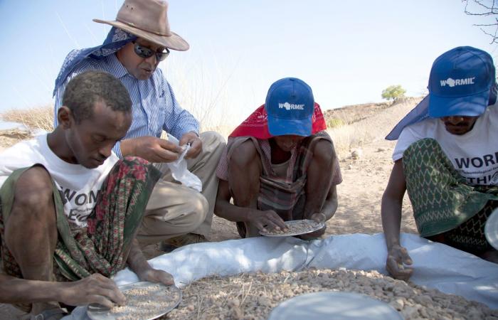 أحفورة قدم غامضة قد تُحدث هزّة في شجرة العائلة الإنسانية.. لماذا؟