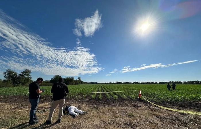 Fear,
      death
      and
      hope
      in
      a
      city
      under
      the
      shadows
      of
      a
      Mexican
      cartel
      war