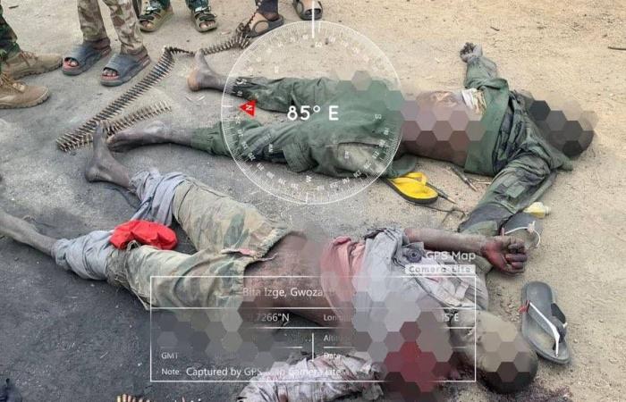 مسلحون
      يقتلون
      10
      أشخاص
      في
      جنوب
      أفريقيا