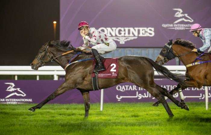 المهرة "بنت محاذر" تحرز كأس أوكس قطر للخيل المهجنة الأصيلة الإناث