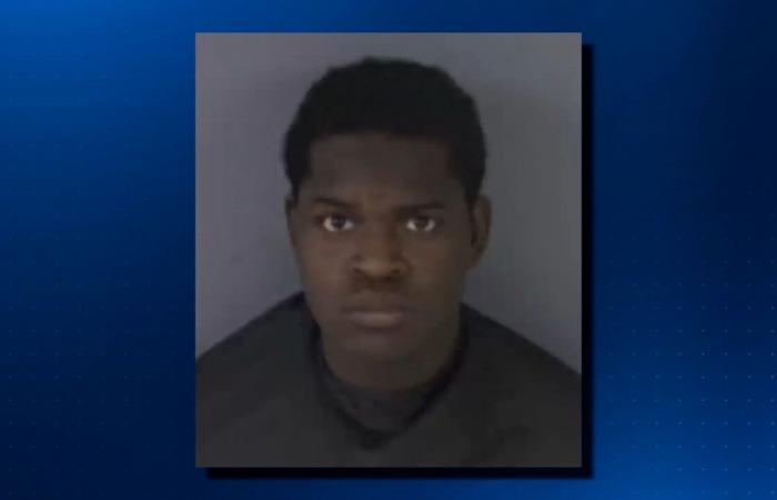 زوجته تشاجرت مع الضحيتين.. رجل يطلق النار 30 مرة على شابتين فيقتلهما