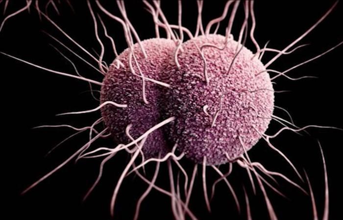 مع تزايد مقاومة المضادات الحيوية.. علاجان جديدان وعمليان للسيلان