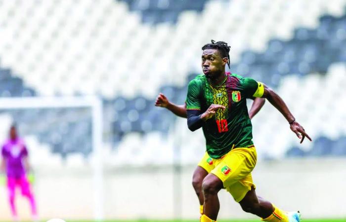 بطولة كأس أمم أفريقيا.. زامبيا في مواجهة مالي بالمجموعة الأولى