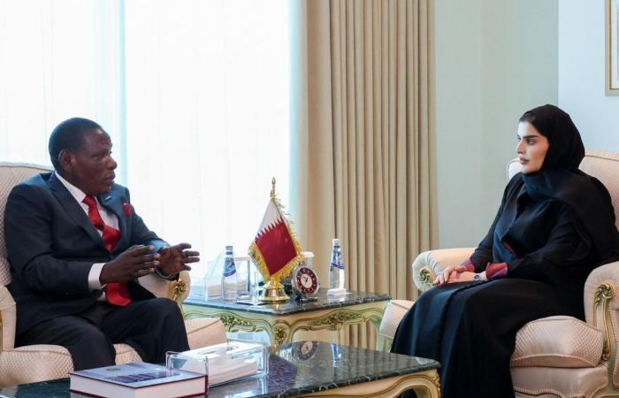 وزير الدولة للتعاون الدولي تجتمع مع وزير المالية في ملاوي