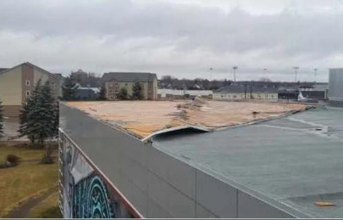 Service
      mostly
      back
      to
      normal
      after
      thousands
      lost
      power
      on
      weekend