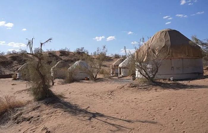 Kobyz
      and
      the
      Yurt:
      Central
      Asia’s
      living
      knowledge
      enters
      UNESCO’s
      Intangible
      Heritage
      Lists