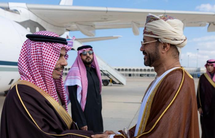 وصول
      الطائرة
      السعودية
      الـ76
      لإغاثة
      أهالي
      غزة