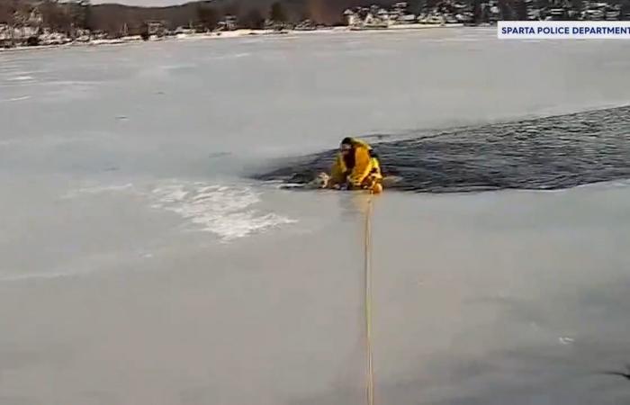 غطس إلى مياه متجمدة.. شاهد إنقاذ شرطي لكلب عالق وسط درجات حرارة متدنية
