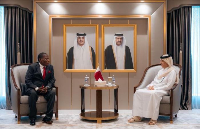  وزير الدولة للشؤون الخارجية يجتمع مع وزير المالية والتخطيط الاقتصادي واللامركزية في ملاوي