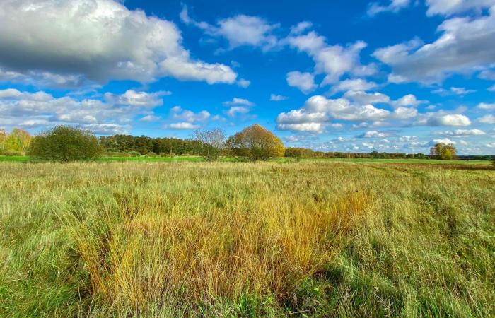 كيف تحولت واحدة من أخطر الأماكن في أوروبا إلى جنة برية بدون قصد؟