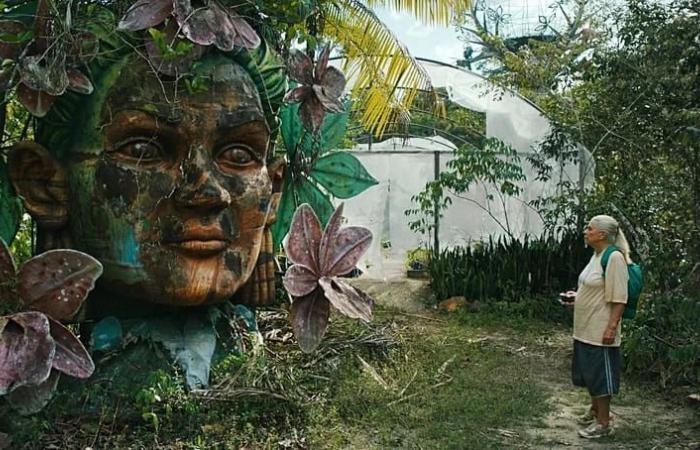 Sinners,
      accidents
      and
      battles:
      Here
      are
      the
      best
      movies
      of
      2025