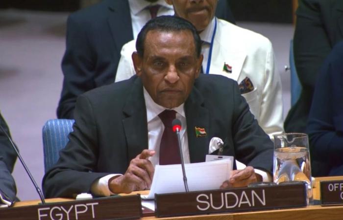 رئيس الوزراء السوداني يعلن أمام مجلس الأمن الدولي عن مبادرة للسلام في بلاده