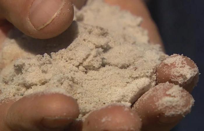 Manitoba
      premier
      vows
      public
      inquiry
      into
      former
      PC
      government
      efforts
      to
      approve
      sand-mining
      licence