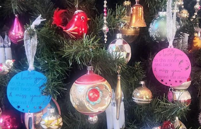 What
      happened
      to
      Jack
      and
      Lilly?
      Grandmother
      says
      she's
      lost
      hope
      missing
      N.S.
      kids
      are
      still
      alive