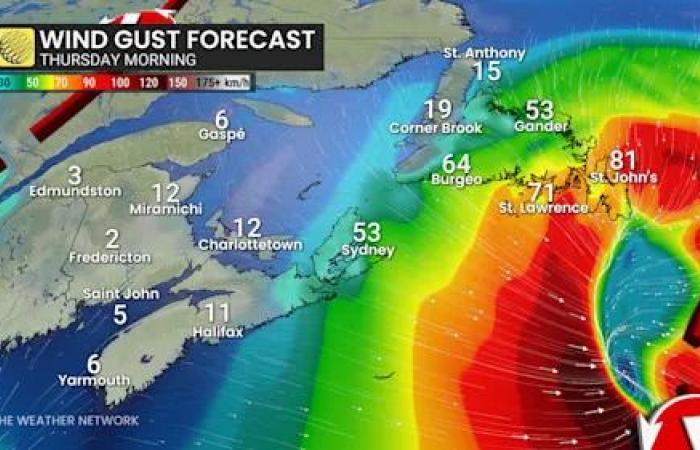 Christmas
      and
      Boxing
      Day
      blizzard
      threatens
      30+cm
      in
      Newfoundland
