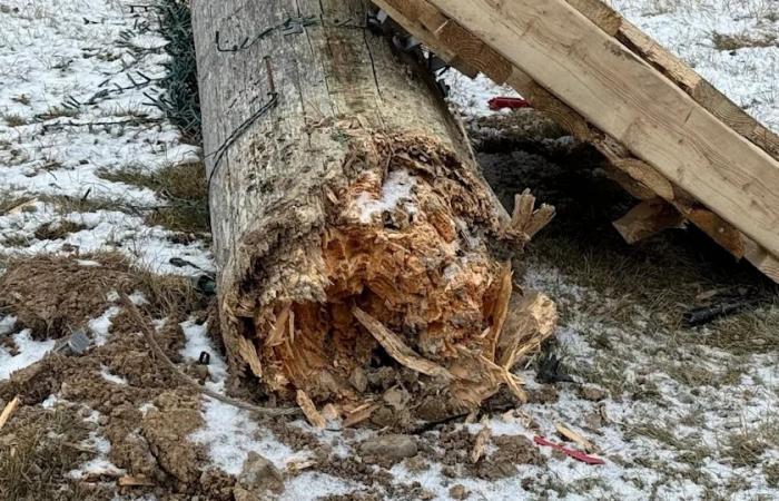 Family
      wants
      answers
      from
      NSP
      after
      wobbly
      power
      pole
      falls,
      nearly
      sparks
      fire
      during
      storm