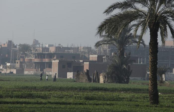 مصر.. السلطات تحقق في فيديو يظهر "جسمًا يشبه التمساح" في محافظة الشرقية