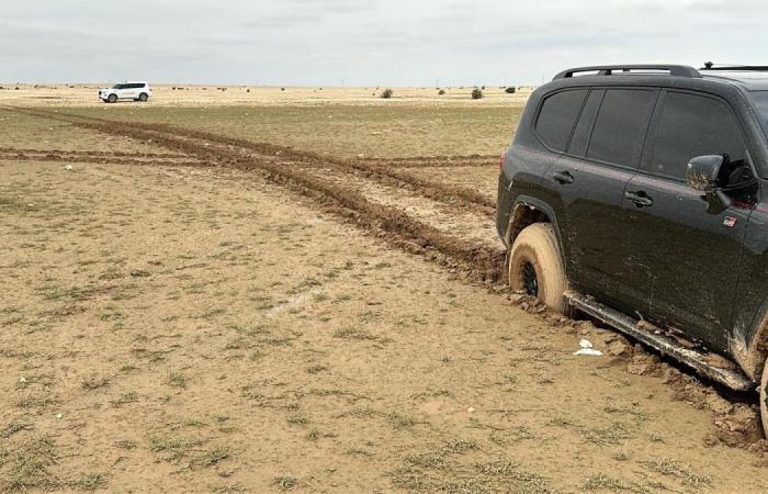الحبس والغرامة ومصادرة المركبات.. البيئة: عقوبات صارمة لدهس الروض
