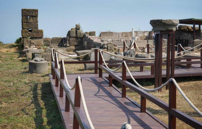 كيف
      تقضي
      احتفالات
      رأس
      السنة
      في
      بلدين
      مختلفين؟