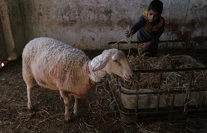 Israel's
      defence
      minister
      walks
      back
      pledge
      to
      establish
      Gaza
      settlements