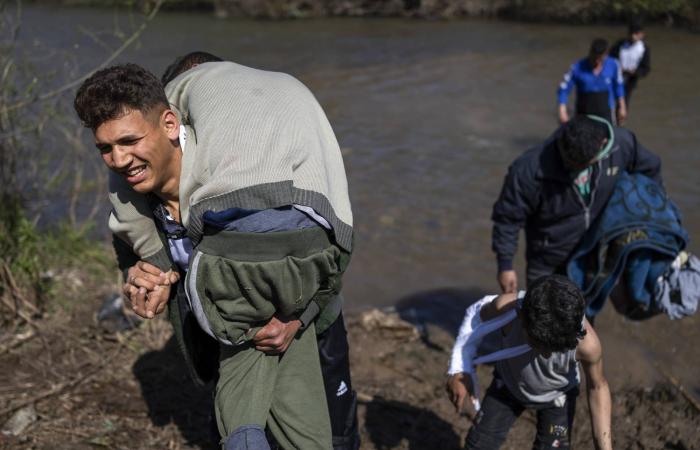 جنرالات
      هاربون
      يخططون
      لتمرد
      في
      سوريا
      من
      المنافي