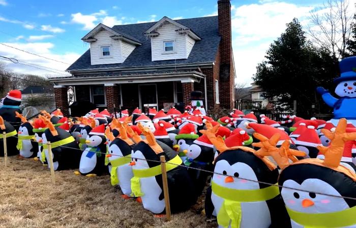 عشرات البطاريق تزين ساحة منزل في فرجينيا منذ سنوات.. ما القصة وراء هذا التقليد؟