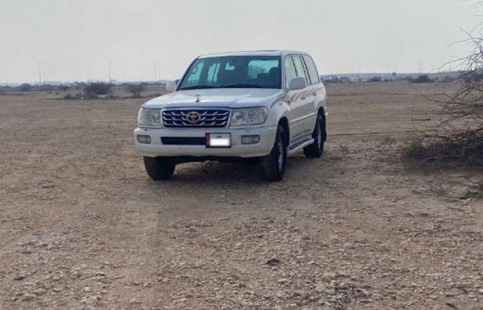 البيئة تضبط مخالفًا أثناء تقطيع الأشجار البرية شمال الدولة